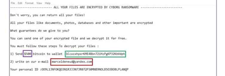 ransomware gia mao thong bao cap nhat qua mail 1