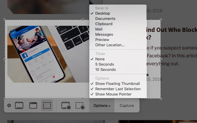 options menu in screenshot app on mac