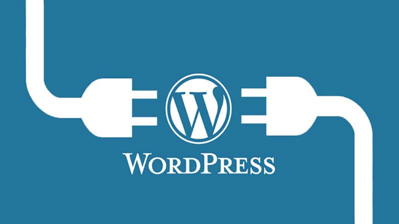 hien thi ngay dang va thoi gian sua doi lan cuoi cho wordpress