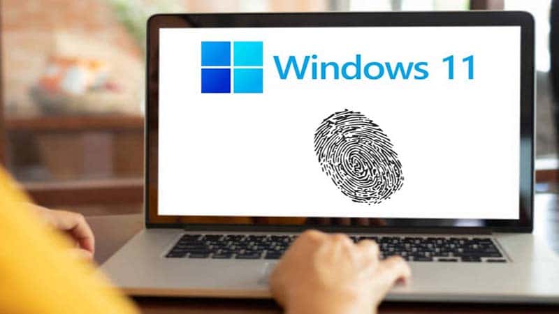 Hướng dẫn cách sửa lỗi cảm biến vân tay không hoạt động trên Windows 11 